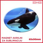 Magnet akrilni ovalni 65x90mm
